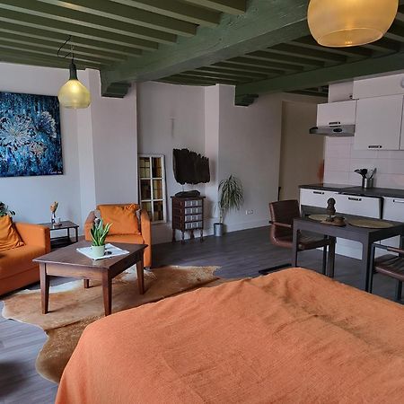 Apartament Stadslogement Bij De Sassenpoort Zwolle  Zewnętrze zdjęcie