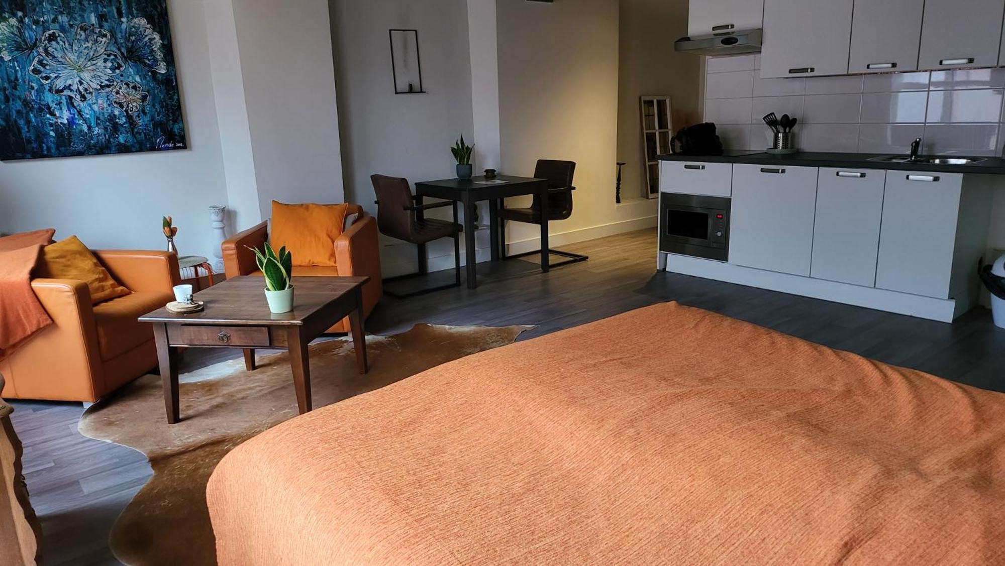 Apartament Stadslogement Bij De Sassenpoort Zwolle  Pokój zdjęcie